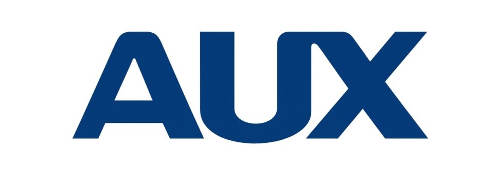aux-1